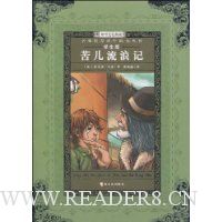 苦儿流浪记(学生版)