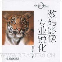 数码影像专业锐化(附光盘1张)