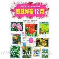 家庭养花12月