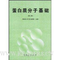 蛋白质分子基础