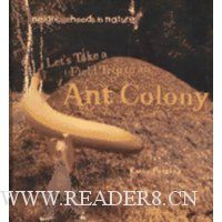  Let's Take a Field Trip to an Ant Colony