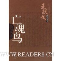 王跃文精品系列:亡魂鸟