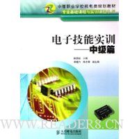 电子技能实训:中级篇
