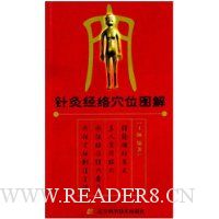 针灸经络穴位图解