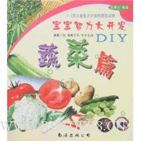 宝宝智力大开发DIY:蔬菜篇