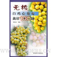 ޺˰׼100