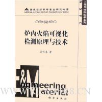 炉内火焰可视化检测原理与技术