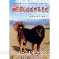 藏獒的选择与养殖