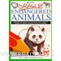  Draw 50 Endangered Animals