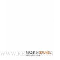  Made in Brunel: Making Our Mark