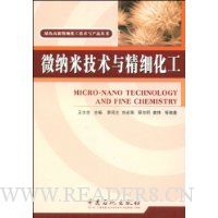 微纳米技术与精细化工
