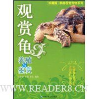 观赏龟养殖与鉴赏