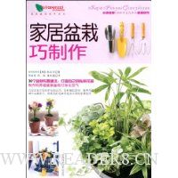 家居盆栽巧制作