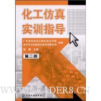 化工仿真实训指导(第2版)