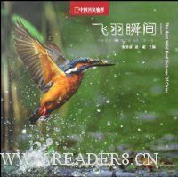 飞羽瞬间:中国野生鸟类精彩图片选(第1卷)(精)