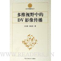 多维视野中的DV影像传播