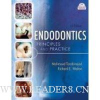  Endodontics: Principles and Practice