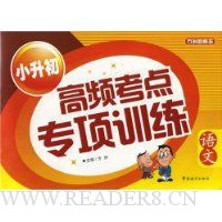 小升初高频考点专项训练:语文