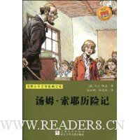 汤姆·索耶历险记