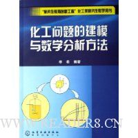 化工问题的建模与数学分析方法