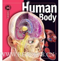  Human Body