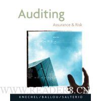Auditing: Assurance and Risk