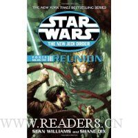 Star Wars: The New Jedi Order: Force Heretic III: Reunion