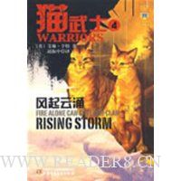  è��ʿ4:������ӿ