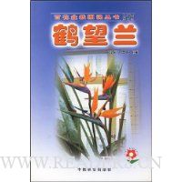 鹤望兰