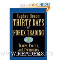  Thirty Days of FOREX Trading: Trades, Tactics, and Techniques