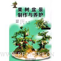  辰