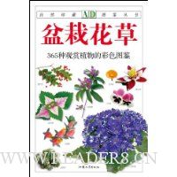 盆栽花草