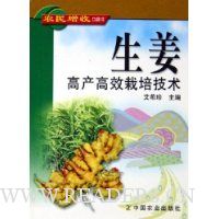 生姜高产高效栽培技术