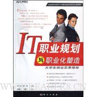 IT职业规划与职业化塑造:大学生就业实用指导