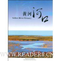 黄河河口