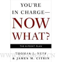  You're in Charge--Now What?: The 8 Point Plan