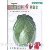 五分钟学种蔬菜
