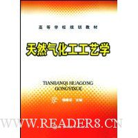 天然气化工工艺学