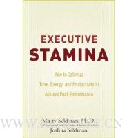 Executive Stamina: How to Optimize Time, Energy, and Productivity to Achieve Peak Performance