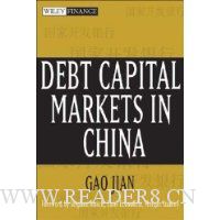  Debt Capital Markets in China
