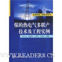 煤的热电气多联产技术及工程实例