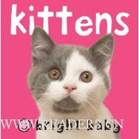  Chunkies Bright Baby Chunky: Kittens