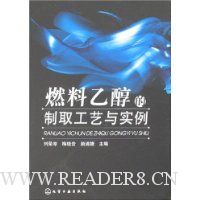 燃料乙醇的制取工艺与实例