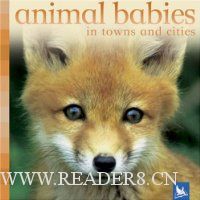  Animal Babies in Towns and Cities