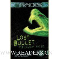  Lost Bullet
