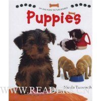 Say and Point Picture Boards: Puppies