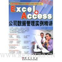  Excel+Access˾ݹʵ