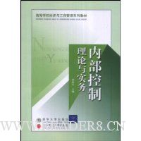 内部控制理论与实务