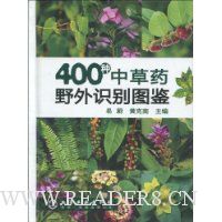  400вҩҰʶͼ