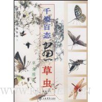 千姿百态画草虫